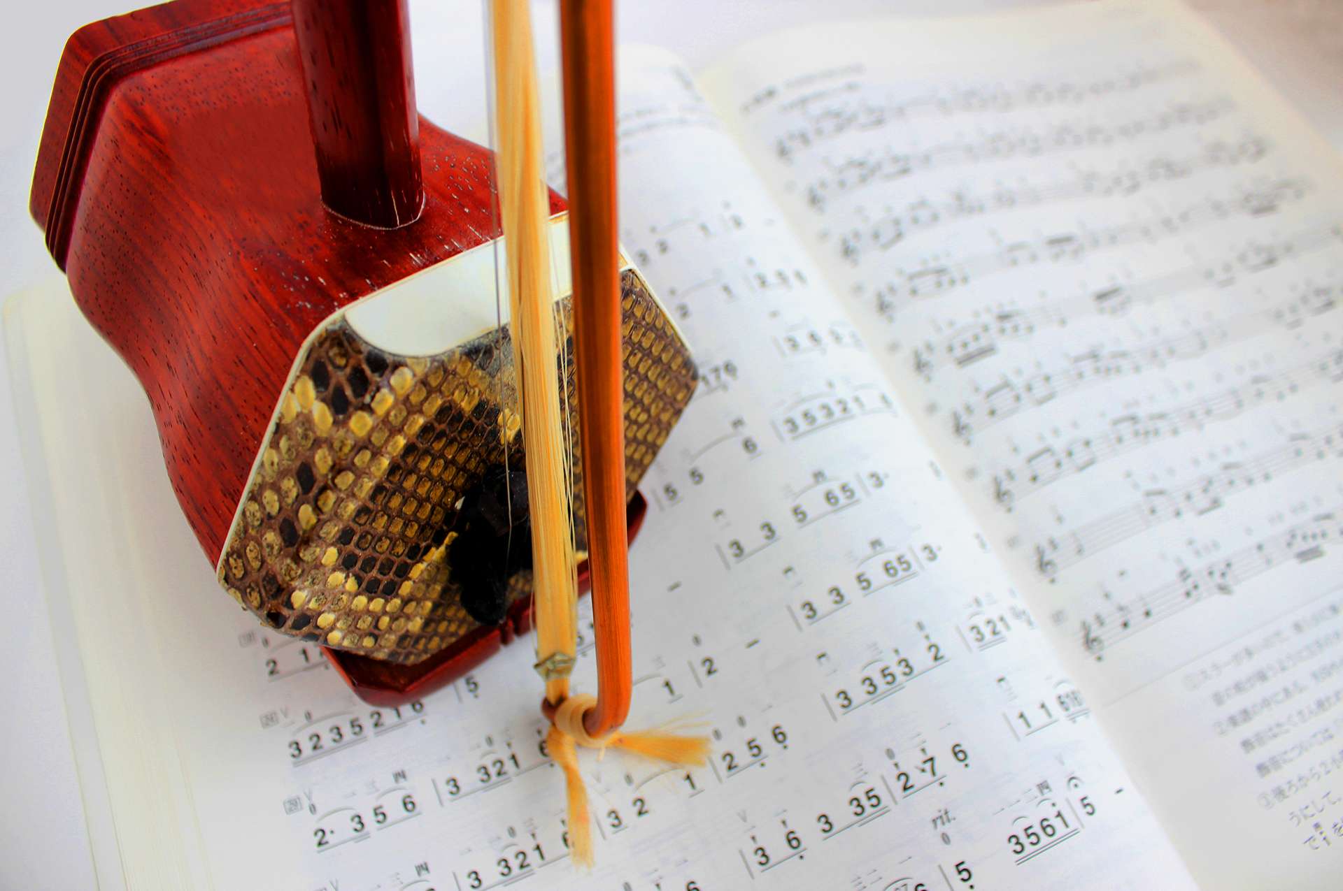 二胡(グループレッスン)